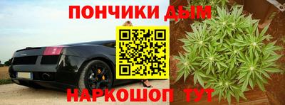 гидропоника Краснознаменск