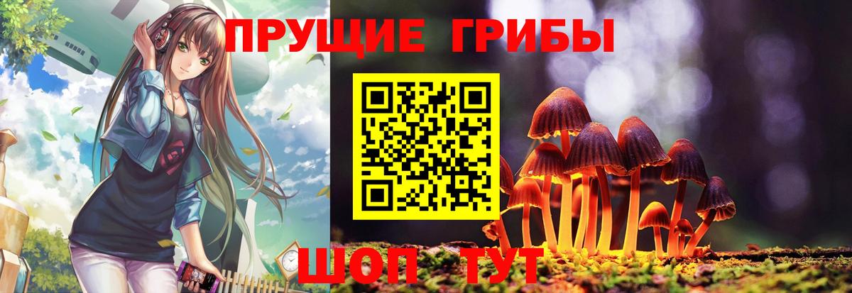 Галлюциногенные грибы мицелий Арсеньев